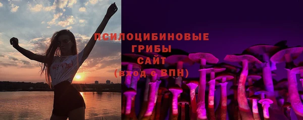 винт Осинники