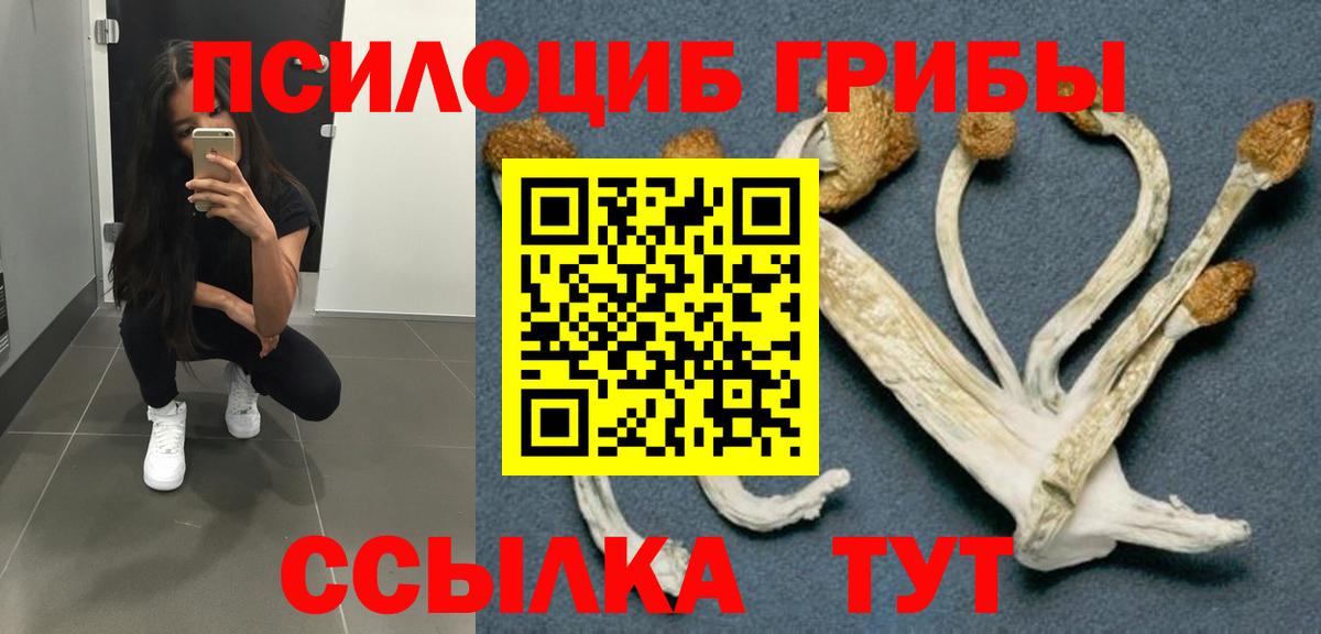 Псилоцибиновые грибы прущие грибы  Псилоцибиновые грибы мицелий  Вход с VPN  Лабытнанги 