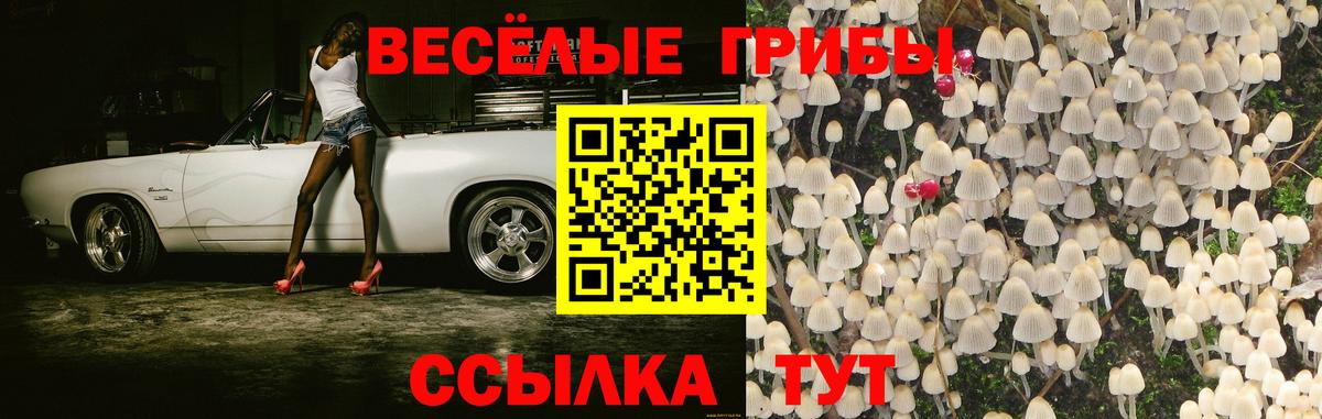 Галлюциногенные грибы MAGIC MUSHROOMS Лабытнанги