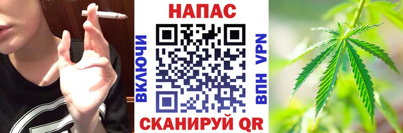 мориарти Telegram  Лабытнанги  Каннабис тримм 